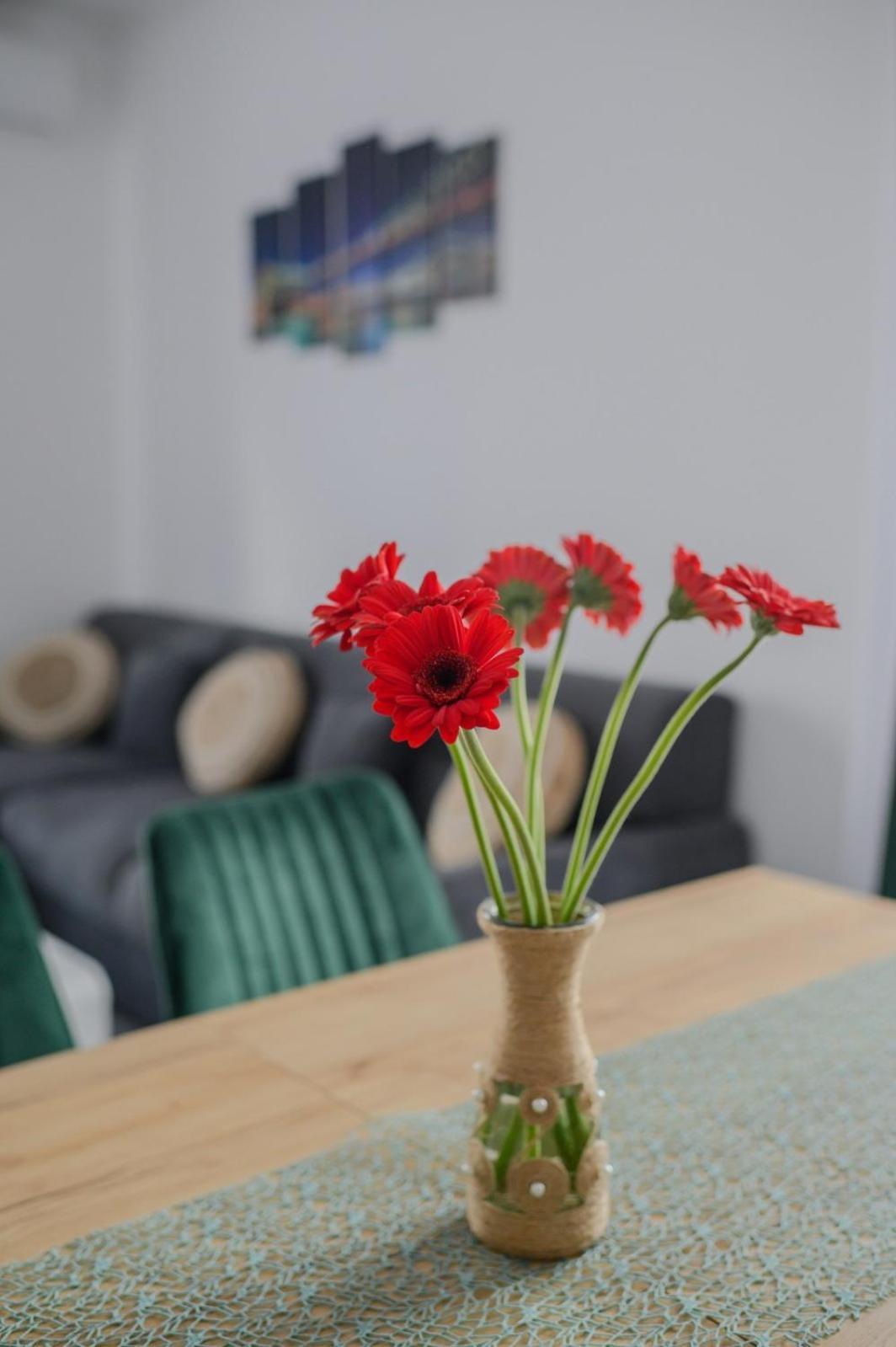 Apartament Radiana Баиле Феликс Экстерьер фото